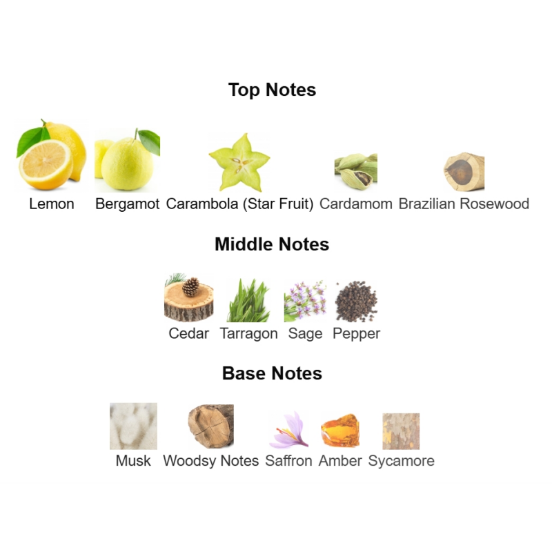 Citrus Aquatic Wood Edition — 100 mL Eau de Toilette - TruVybe Essentials