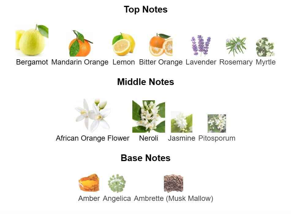 Bright Neroli Citrus Edition — 100 mL Eau de Parfum - TruVybe Essentials