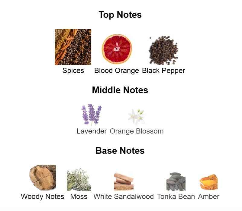 Spiced Citrus-Woody Edition — 125 mL Eau de Parfum - TruVybe Essentials