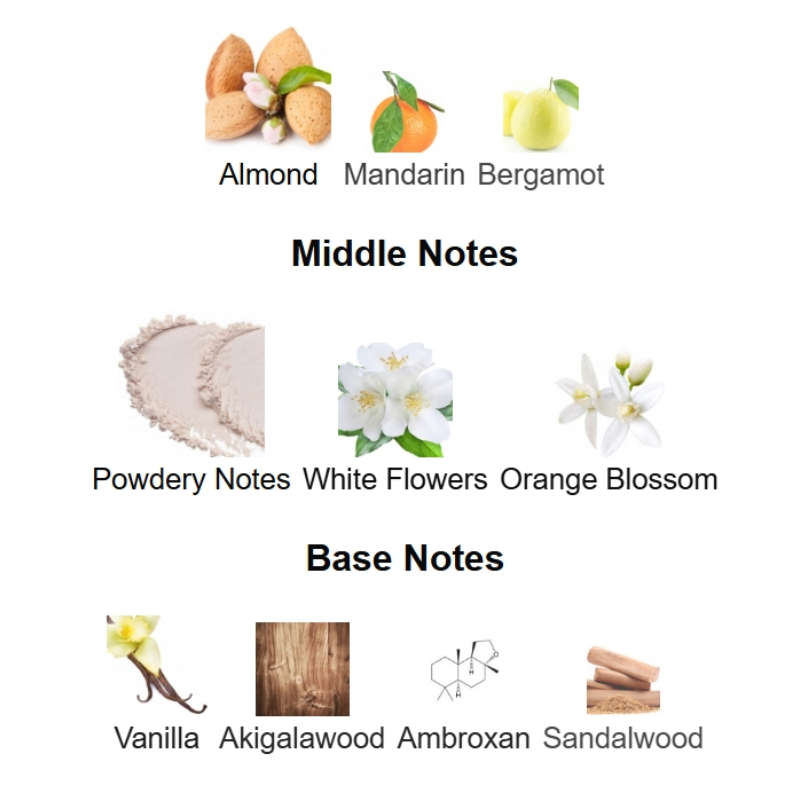 Elevate Your Essence with Soft Almond Floral-Woody Perfume – 75 mL - TruVybe Essentials