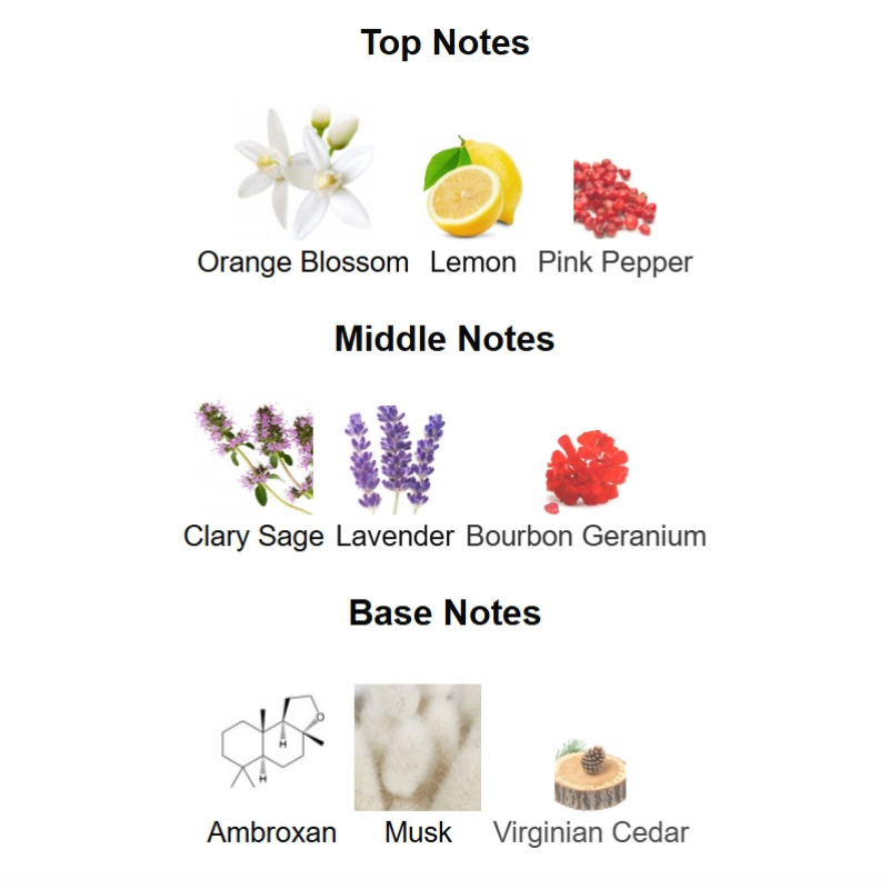 Vibrant Citrus Aromatic Edition — 100 mL Eau de Parfum