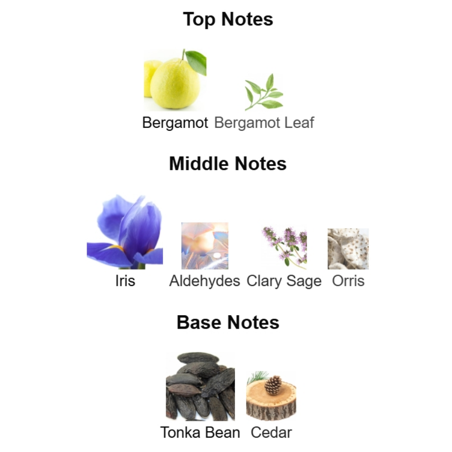 notes Refined Woody Aromatic Edition — 125 mL Eau de Parfum