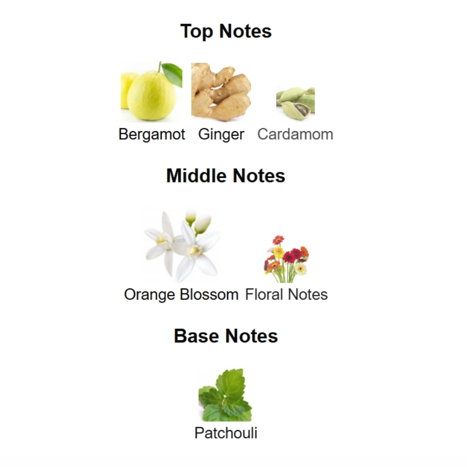 Ginger-Floral Woody Edition — 100 mL Eau de Parfum