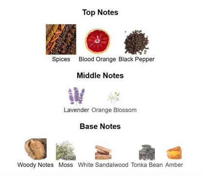 Spiced Citrus-Woody Edition — 125 mL Eau de Parfum - TruVybe Essentials