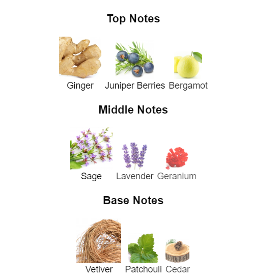 Bold Aromatic Intense Edition — 100 mL Eau de Parfum