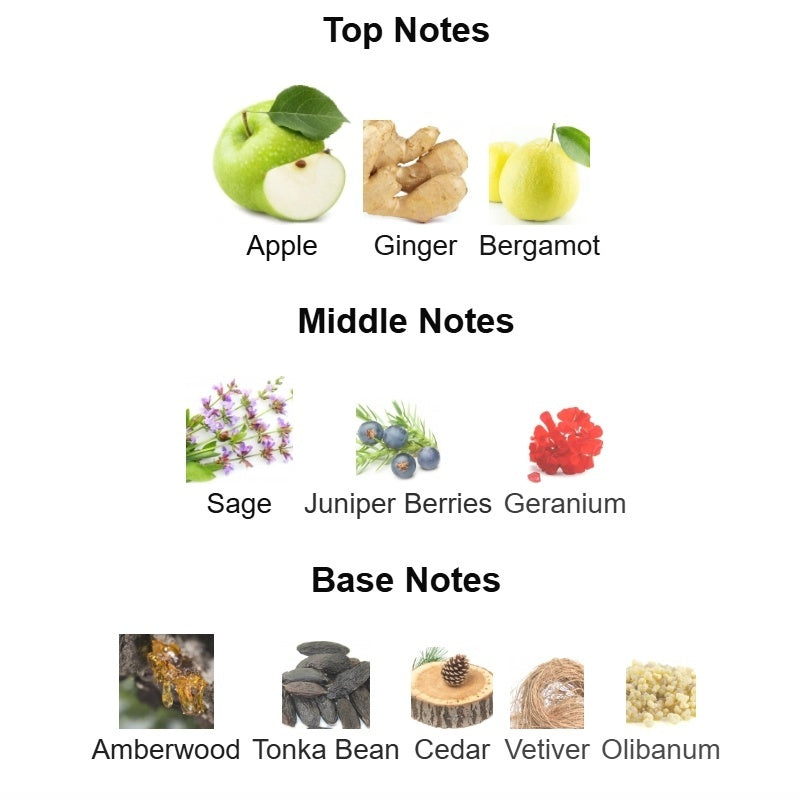 Chart of top, middle, and base notes with corresponding images and names on a white background.