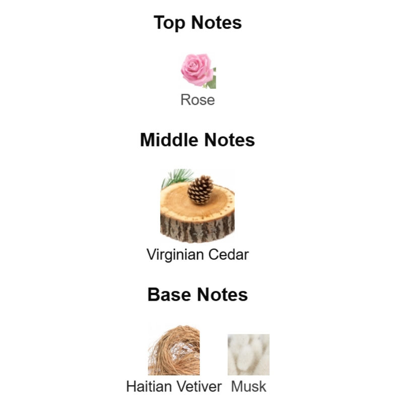 Diagram of top, middle, and base notes with corresponding images and labels on a white background.