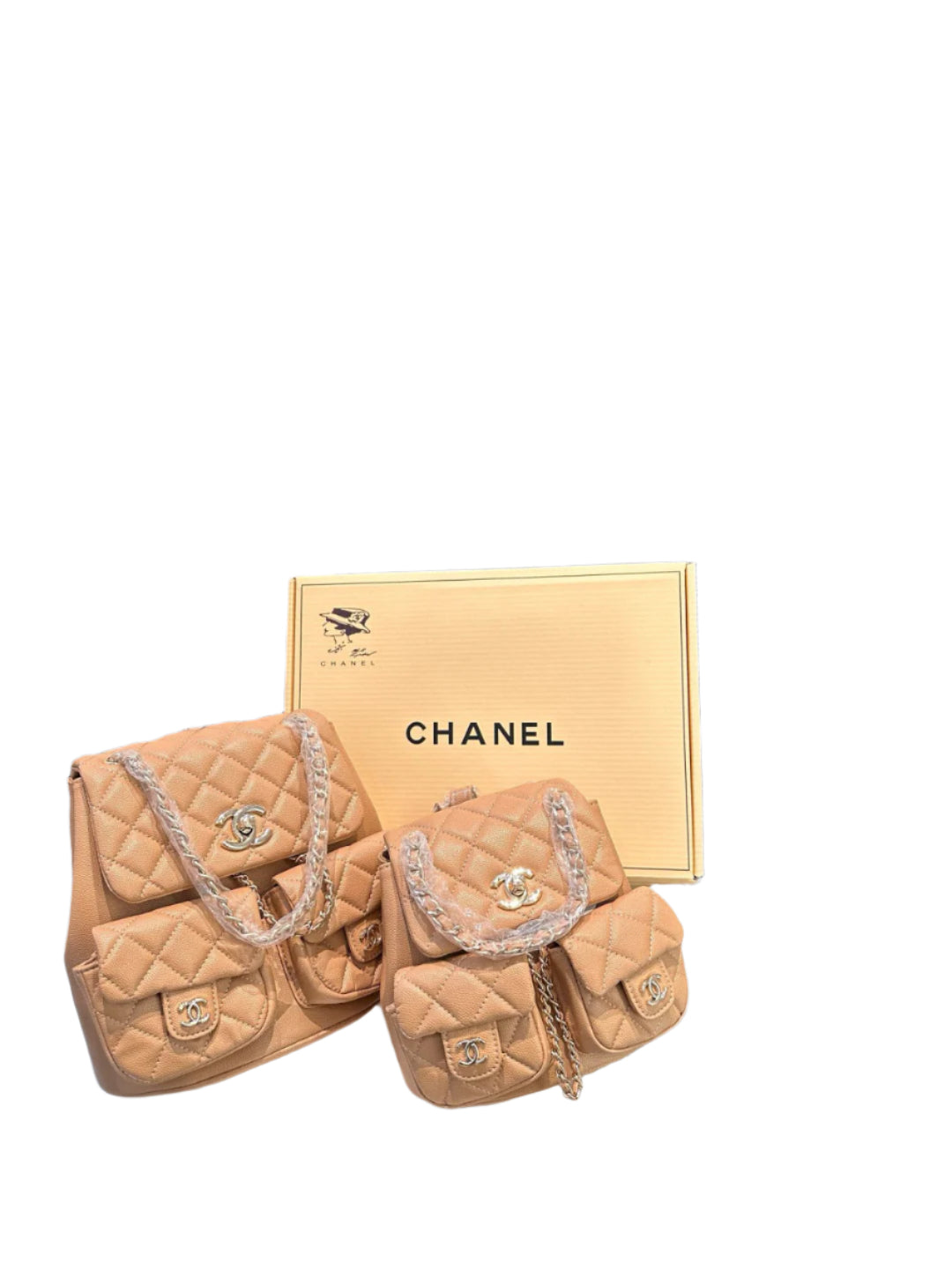 Chanel Small Duma Backpack Light Gold Hardware - TruVybe Essentials